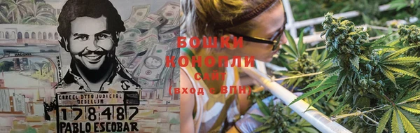 ГАЛЛЮЦИНОГЕННЫЕ ГРИБЫ Нея