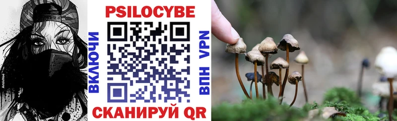 Галлюциногенные грибы MAGIC MUSHROOMS  Купить  Майкоп 